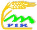 logo pirx120
